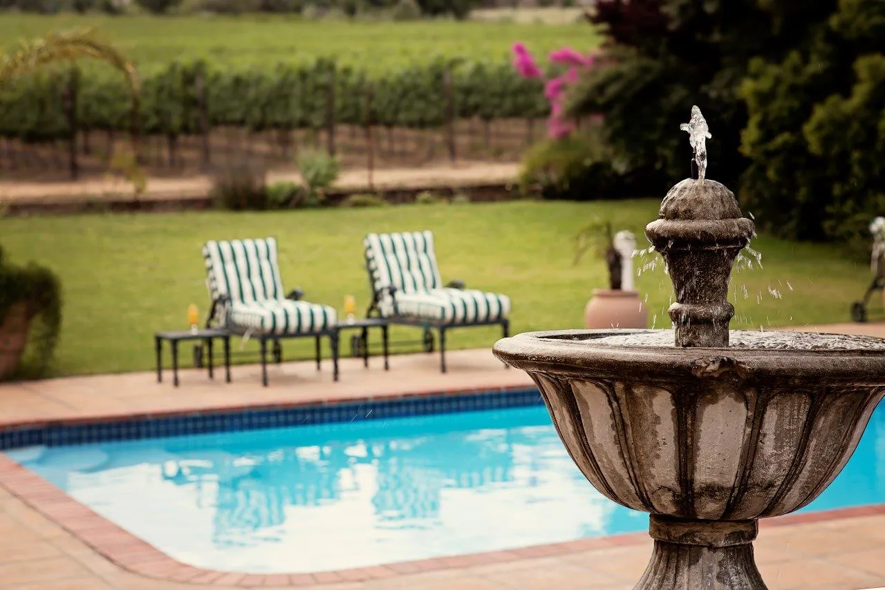 Pool with vineyard views